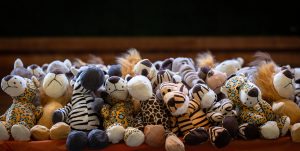 5th Annual Strittmatter Wealth Client Family BBQ, June 2025 - Strittmatter Wealth Management Group Events, Financial Planner Dallas Fort Worth Texas