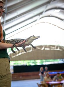5th Annual Strittmatter Wealth Client Family BBQ, June 2025 - Strittmatter Wealth Management Group Events, Financial Planner Dallas Fort Worth Texas