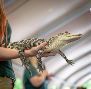 5th Annual Strittmatter Wealth Client Family BBQ, June 2025 - Strittmatter Wealth Management Group Events, Financial Planner Dallas Fort Worth Texas